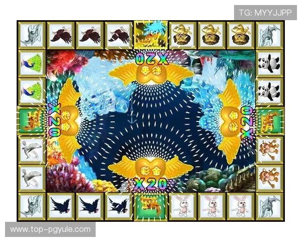 凯发金鲨银鲨：新手入门必读的游戏规则与操作流程详解