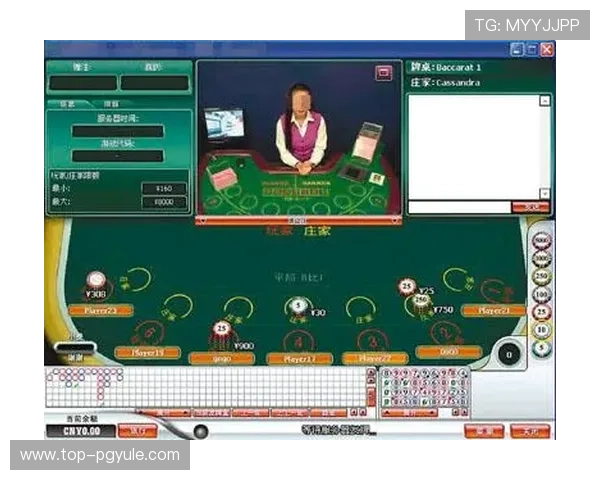 百家乐网赌存在的主要风险与防范措施全面解析帮助玩家安全游戏